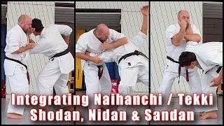 Practical Kata Bunkai: Integrating Naihanchi / Tekki Shodan, Nidan and Sandan