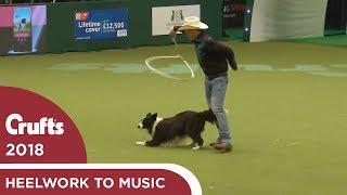 Amazing Cowboy routine in Freestyle Heelwork to Music | Crufts 2018