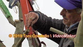 L'orto sull'albero, melanzane e pomodori 2019 - by ToniCondello2