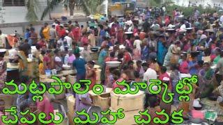 Matlapalem Live Fish Market | Amazing  Fish Market In India | SeaFood Market | మట్లపాలెంచేపలమార్కెట్