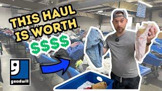 Thrifting At The Goodwill Bins Leads To A HUGE Haul To Resell Online!