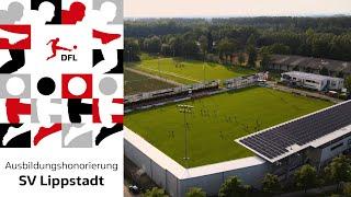 Ausbildungshonorierung ermöglicht neuen Kunstrasen beim SV Lippstadt