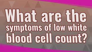 What are the symptoms of low white blood cell count?