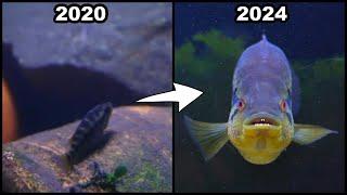 1,780 Days Of Raising A Demon Fish