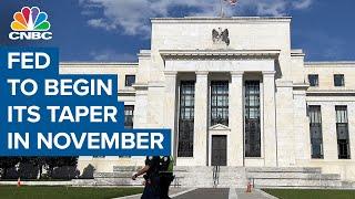 Fed to begin its taper this month