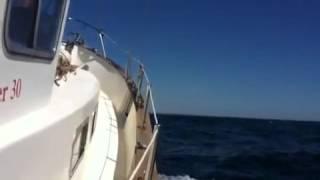 Fisher 30 motor sailing