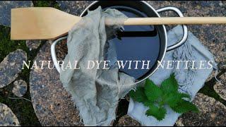 NETTLE | How to NATURAL DYE at home  | NATURAL DYE | Botanical colours | Casa Caribe