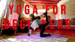 Yoga for Beginners - 20 min Gentle, Relaxing, Foundational Beginner Yoga Stretch Routine