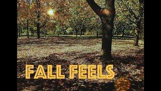 FALL FEELS // short poem by amanda wan