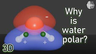 Why is water polar? (3D animation)