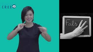 FALS 3