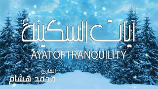 آيات السكينة والطمأنينة لدفع القلق والهموم  | القارئ محمد هشام | AYAT OF TRANQUILITY