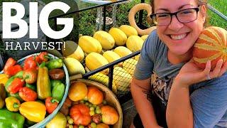 2023 Garden & HARVEST Tour Week 13: It's WAGON TIME!