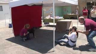 United Hope for Animals at Baldwin Park
