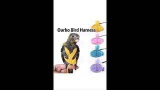 Ourbo Bird Harness Vest