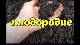 КАК ВОССТАНОВИТЬ ПЛОДОРОДИЕ ЗЕМЛИ!!