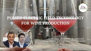 Pulsed Electric Field Technology for Wine Production: Sustainability, Quality and Yield Aspects