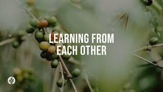 Learning from Each Other | Audio Reading | Our Daily Bread Devotional | June 26, 2024