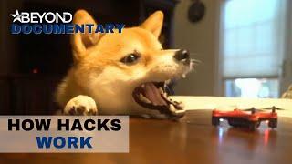 The Weird And Wonder World Of Pets | How Hacks Work | Beyond Documentary