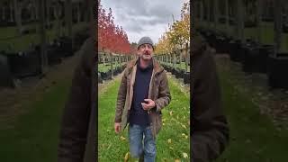 Nick Bailey announces his Show Garden | BBC Gardeners' World Live 2025