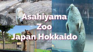 【Asahiyama Zoo】Japanese zoo in Hokkaido→ designed so cleverly!!