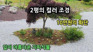 2평의 화단에 10만원의 꽃으로 만든 컬러 조경