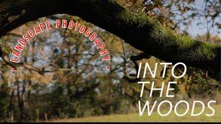 Landscape Photography Vlog 1 - Local Woodland