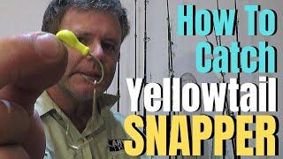 How to catch YELLOWTAIL SNAPPER | Yellowtail Snapper Fishing