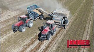 Peanut Harvest At Indika Farms – Case IH Magnums & Amadas Peanut Harvester - Windsor, VA