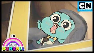 What Happened to Baby Gumball? | Gumball - The Heart | Cartoon Network