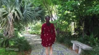 Miami Beach Botanical Garden: Little Miami Beach's secret