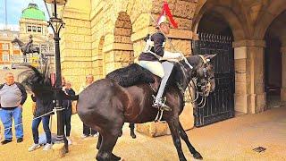 POLICE & KING'S GUARD SHOWED GREAT HORSEMANSHIP SKILLS TODAY AT HORSE GUARDS IN LONDON