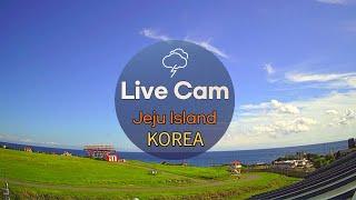 펀제주 실시간 제주도 날씨 제주 제주공항 라이브캠  Jeju Island in South Korea Live Cam