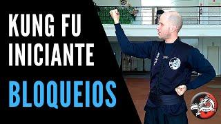 4 Técnicas de Bloqueio | Defesas do Kung Fu | Treino