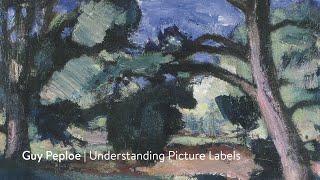 Guy Peploe | Understanding Picture Labels