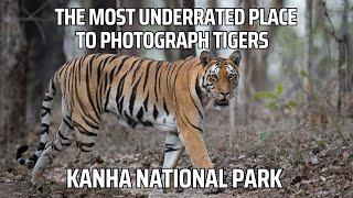 The Most Underrated Place to Photograph Tigers: Kanha National Park