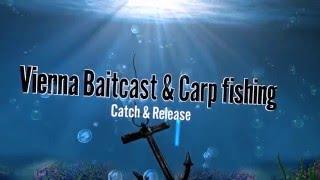 Vienna Baitcast & Carp fishing Intro