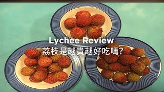 夏天水果荔枝比較 | 最高性價比荔枝| Litchi Review | Summer Fruit Review Lychee | Which Lychee Offers Best Value