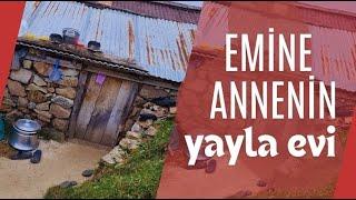 Emine annenin o yayla evindeki yaşamı anlattık