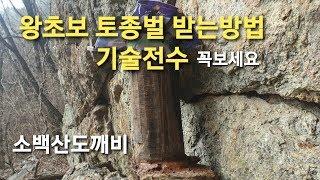 왕초보 토종벌 받는방법 기술전수 해드립니다 꼭보세요.토종벌 받고싶으면  이영상꼭보세요 ^~^