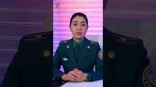 Вопросы и ответы по линии миграции