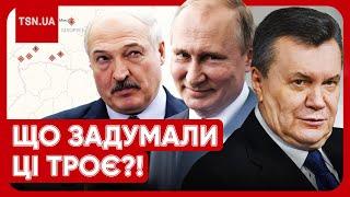 ️️Янукович літав до Путіна і Лукашенка в Мінськ! Білорусь може вступити у війну?!