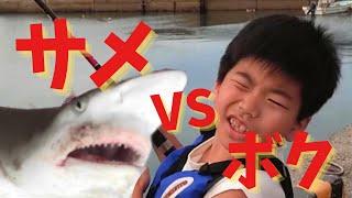 7月の奄美大島サメの釣り方