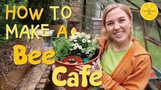 How to make a Bee Cafe! | Maddie Moate