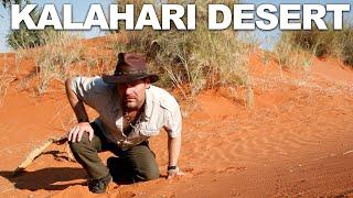 Survivorman | The Kalahari Desert | Namibia | Season 2 | Episode 1 | Les Stroud