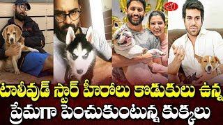 Must Watch: Tollywood Heros Fun Time with Their Pets | Heros Dogs Videos | Gossip Adda