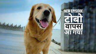  टोबो फिर वापस आ गया || Tobo New Episode || Dog Short Film || JJ Fact Story Tobo #dog #emotional