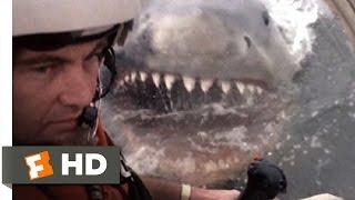 Jaws 2 (8/9) Movie CLIP - Helicopter Attack (1978) HD