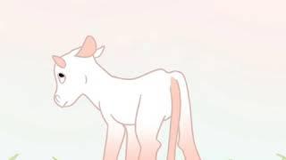 Strawberry Cow