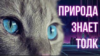 Пять технологий, подсмотренных учёными у природы #hypetech